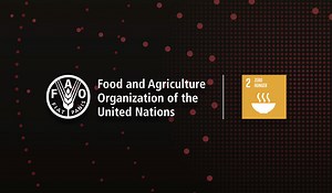 Understanding food insecurity