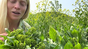 10K views · 106 reactions | Perennial! Vegetables! HuzZaH! If you...