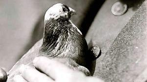 News headlines today: Oct. 5, 2018