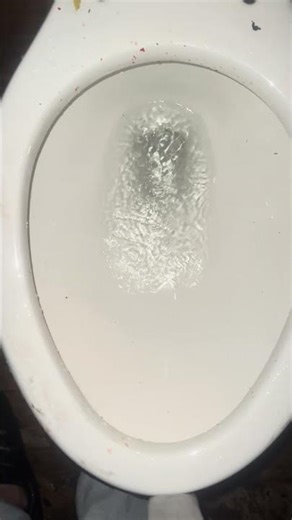 OP 2013 Gerber Maxwell dye test