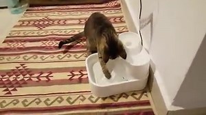 104K views · 147 reactions | So süß  wie die Kleine ihren neuen...