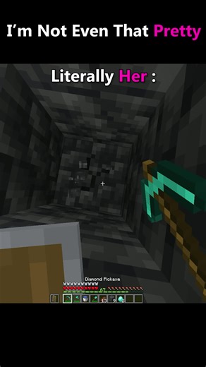 Literally Her: A Heartfelt Minecraft Meme Experience