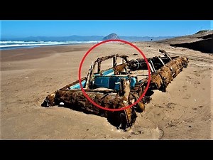 MOST Bizarre Beach Finds