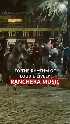 Dancing Horses Ranchero 🐴💃#shorts #ranchero #horses
