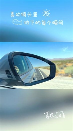 赴一场特殊之旅🌵 #美式公路旅行 #JoshuaTree打卡 #沙漠拍照攻略 #约书亚树国家公园 穿越滚烫戈壁，遇见肆意舒展、独属于 Mojave 的约书亚树