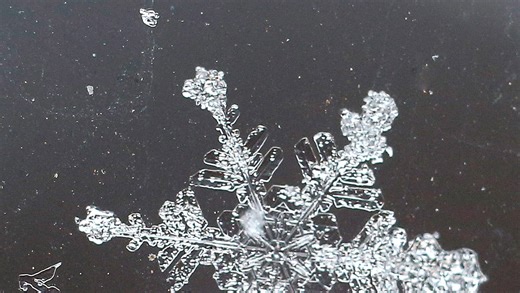 Snow expected in New Hampshire. Here's where, what to know