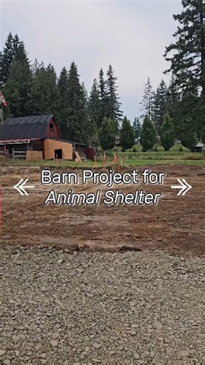 Building a barn for @saintsrescue for their rescue animals #postframe #barnbuilder #barns | Farrow Built