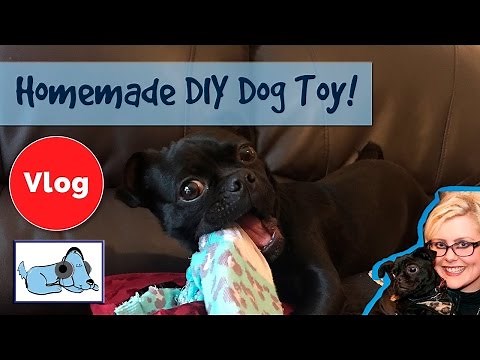 How to Make a DIY Homemade Dog Toy! Easy to Make Dog Toy.