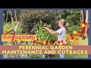 FULL SUN GARDEN // FALL MAINTENANCE // PERENNIAL CLEANUP AND CUTBACK TIPS