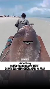 344K views · 4.8K reactions | Na manhã desta quinta-feira (23), a...