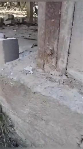 159 reactions · 4 comments |  Myanmar Salween Press Release...