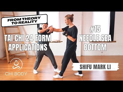 Tai Chi 24 Form Practical Applications #15: Needle Sea Bottom