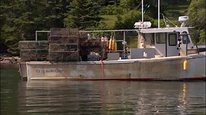 8.3K views · 184 reactions | A moment in Maine | Chronicle on WCVB Channel 5 | Facebook