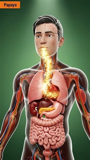 Papaya Digestion | Papain Enzyme in Action