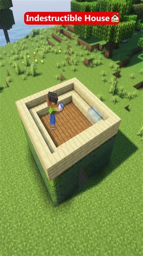 Minecraft Indestructible House 🏡 #shorts #minecraft