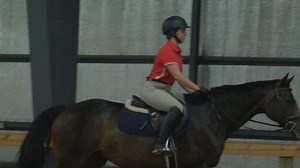 Commonwealth Games Preview: Equestrian