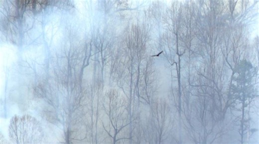 Code Red air quality alert expanded to more counties as North Carolina wildfires grow