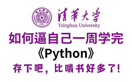 【整整600集】清华大佬256小时讲完的Python教程，零基础小白轻松入门，2024最新版！全程干货无废话，这还学不会，我退出IT圈！