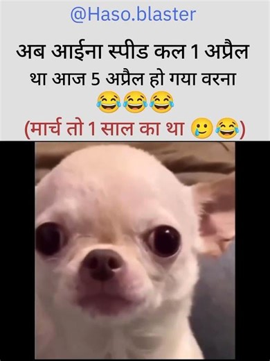 aise hi spid rahi to 2027 dur nhi hai😂#reels #funny #comedy #dogshorts