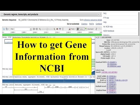 How to find gene information from NCBI gene ID | Transcript ID | Gene name from NCBI