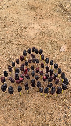 265K views · 2.2K reactions | Survival Skills: SMAERT ideas and useful with BABY to Cry #bushcraft #camping #outdoors #survival | Abhinandan Aashik | Facebook