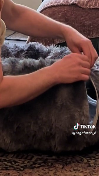 Hands down my favorite tik tok shop purchase (and our cats fav too) #fyp #cattunnel #catsoftiktok #tiktokshop #tiktokfinds #catbedroom