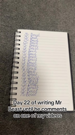 Mr Beast fan (@mr_beast_fan27)’s videos with Mrbeast (Acoustic) - Daniel Trend