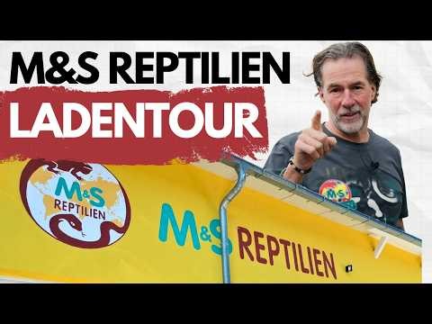 Unvarnished & real: A typical workday at M&S ​​Reptiles 🦎