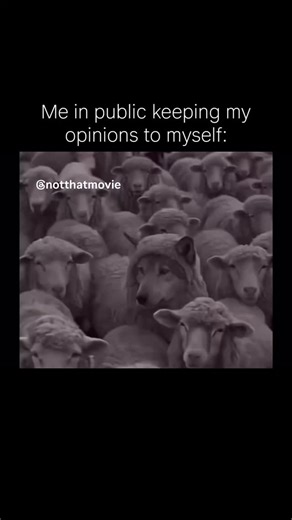 @notthatmovie on Instagram: "😶 This clip features a powerful visual of a wolf hidden in plain sight, standing amongst a massive flock of sheep while wearing a wool-like hood. The slow zoom and the gritty, monochromatic filter create an atmosphere of intense focus and internal tension. Paired with the text "Me in public keeping my opinions to myself," the video highlights the psychological bridge between one's private, predatory (or simply different) thoughts and the calm, conforming exterior pr