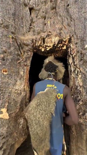 Life inside the baobab tree with the Hadza ancient people
