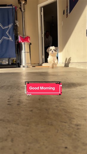 This is my happy run!