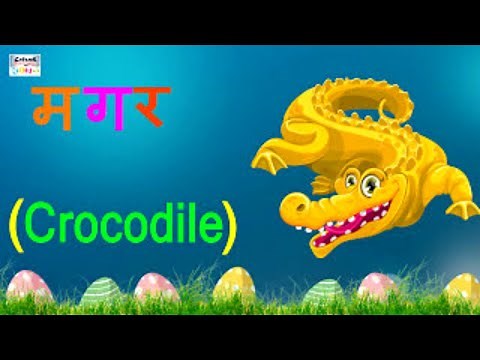 तीन वर्णों के शब्द | Learn Hindi Three Letter Words For Beginners | Learning Grammar #catrackkidstv
