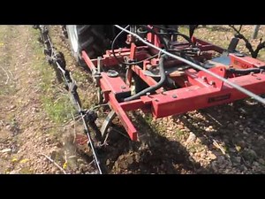 décavailloneuse vigne Belhomme