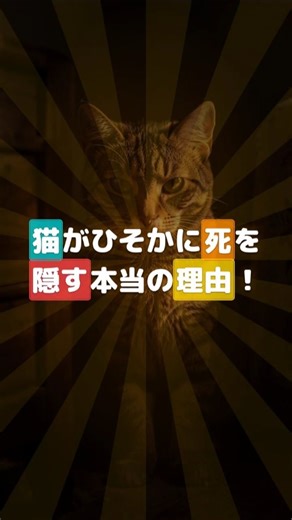 猫がひそかに死を隠す本当の理由【知られていない真実】#Shorts