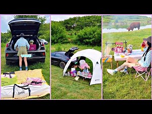 Weekend in a Campervan 🚐✨ Adventure, Chill Vibes & Pure Freedom! Camping Vlog 🌲