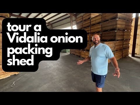Vidalia Onion Packing Shed Tour