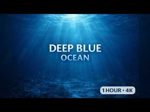 Deep Blue Ocean – 1 Hour Immersive Marine Atmosphere for Sleep & Relaxation (4K)