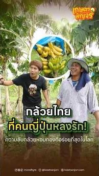 กล้วยไทยที่คนญี่ปุ่นหลงรัก! ความลับกล้วยหอมทองที่อร่อยที่สุดในโลก