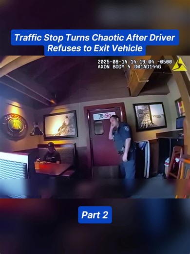 Simple Traffic Stop Turns Chaotic After Woman Flees From Police #cops #copsoftiktok