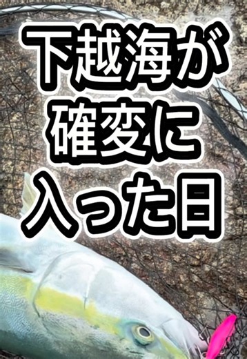 下越の海が完全に確変入った。 投げれば当たる、まさにフィーバー状態！ 脳汁ドバドバの最高の1日でした🎣🔥 新潟のアングラーの皆さん、最近海行ってますか？ #釣り #fishing #新潟釣り #下越釣り