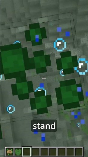 Minecraft Swamps Just Got WAY Cooler