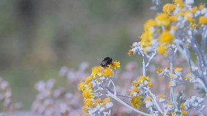 How Did Each European Country Get Its Name?