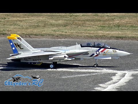 Freewing F-14 Tomcat Twin 80mm EDF Jet Flight Demo At Warbirds Over Whatcom