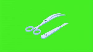 Download Scissors Animation Green Screen for free