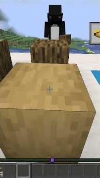 2 Dumme 1 Gedanke mit ‪@‬Julachter 🥲 #minecraft #lubu_xd #lustig