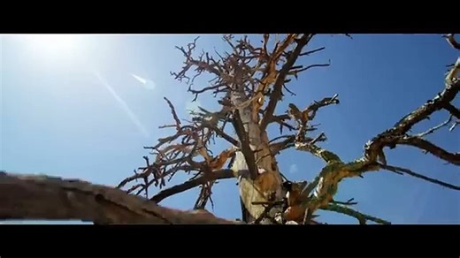 ENTA HABIBI  Rahim Pardesi ft Natalia Itani OFFICIAL SONG