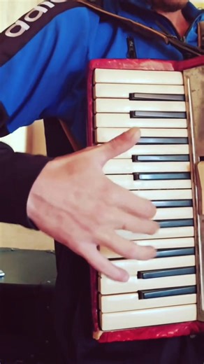 Brother Louie Remus RMS Mimă Acordeon Sunet Mattia Fisarmonica #remusrms87 #acordeon | Remus Dîmboviceanu