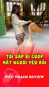 171K views · 996 reactions | Chàng trai sắp bị bồ nông cướp bạn gái xinh https://1thegioi.vn/khoa-hoc-cong-nghe | THẾ GIỚI ĂN VẶT | Facebook