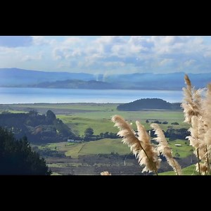 31 reactions · 25 shares | SOLD – Before Hitting the Open Market ✨ ✅...