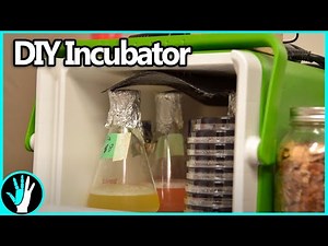 From Beer Cooler to a DIY Incubator